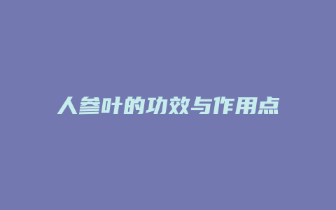 人参叶的功效与作用点