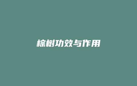 棕树功效与作用