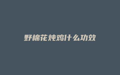 野棉花炖鸡什么功效