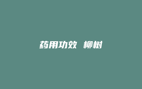 药用功效 柳树