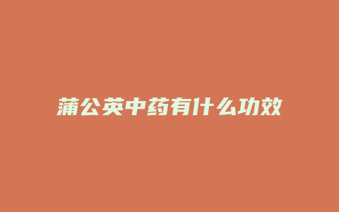 蒲公英中药有什么功效