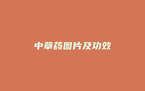 中草药图片及功效