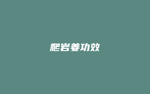 爬岩姜功效