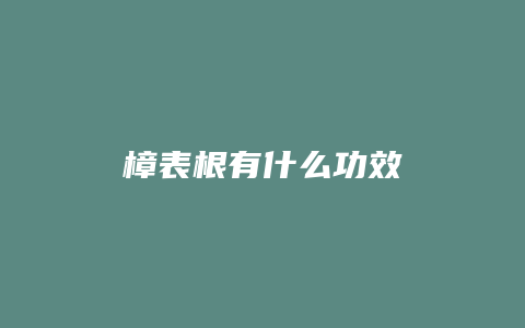 樟表根有什么功效