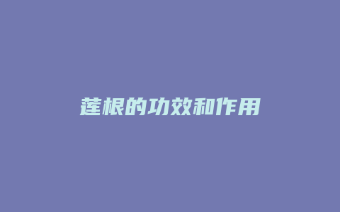 莲根的功效和作用