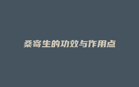 桑寄生的功效与作用点