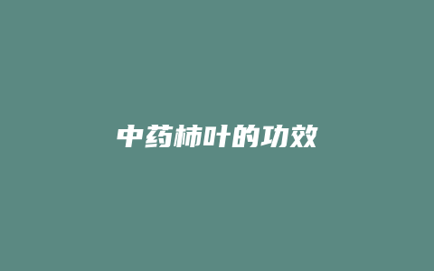 中药柿叶的功效