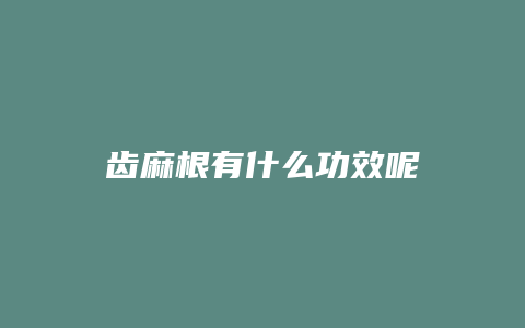 齿麻根有什么功效呢