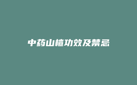 中药山楂功效及禁忌