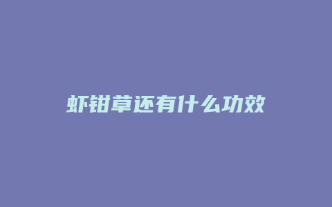 虾钳草还有什么功效