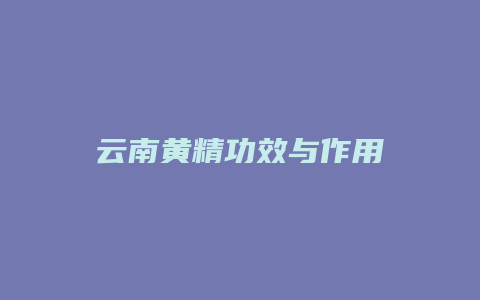 云南黄精功效与作用