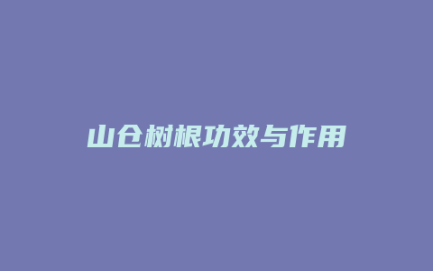 山仓树根功效与作用