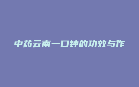 中药云南一口钟的功效与作用