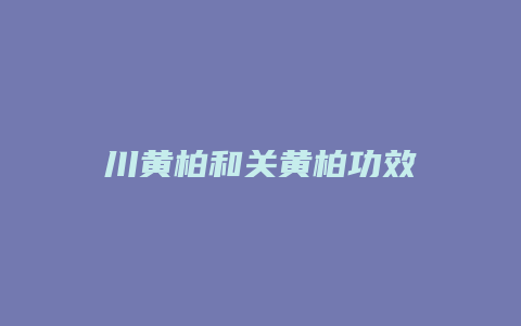 川黄柏和关黄柏功效