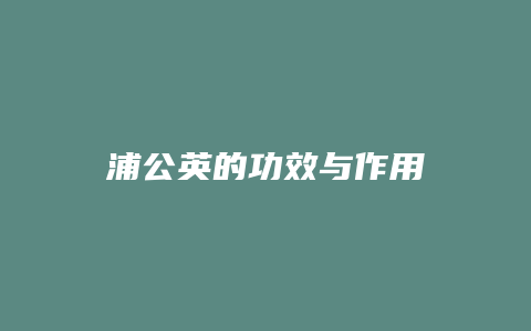 浦公英的功效与作用