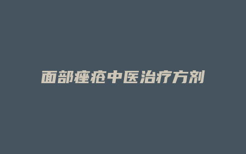 面部痤疮中医治疗方剂