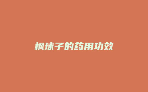 枫球子的药用功效