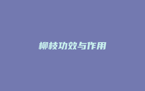 柳枝功效与作用