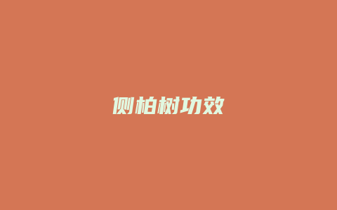 侧柏树功效