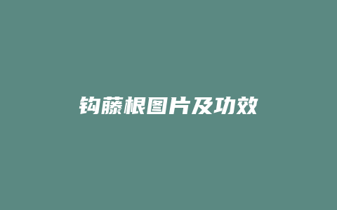 钩藤根图片及功效