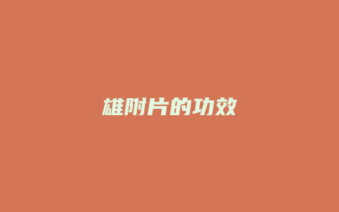 雄附片的功效