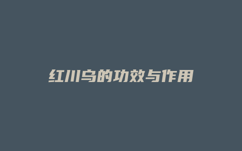 红川乌的功效与作用