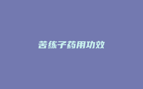 苦练子药用功效