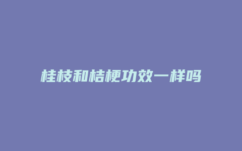 桂枝和桔梗功效一样吗