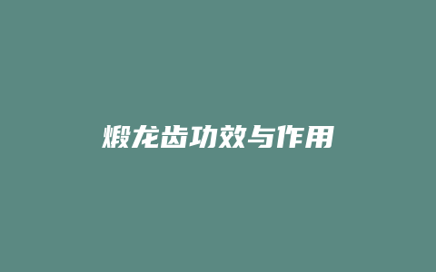 煅龙齿功效与作用