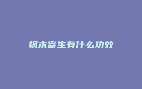 枫木寄生有什么功效