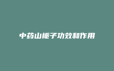 中药山栀子功效和作用