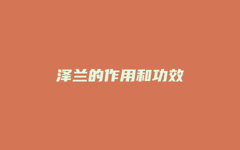 泽兰的作用和功效