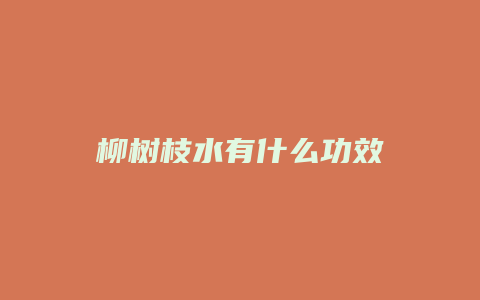 柳树枝水有什么功效