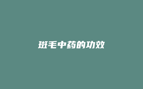 斑毛中药的功效