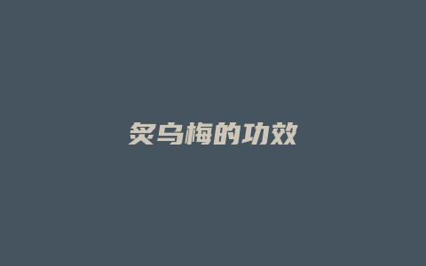 炙乌梅的功效