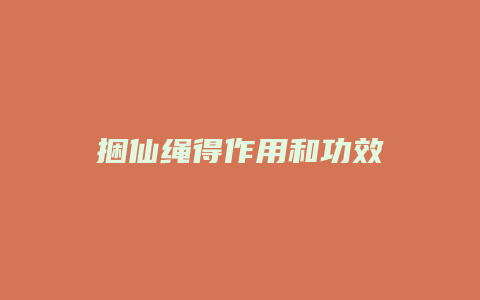 捆仙绳得作用和功效