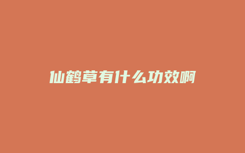 仙鹤草有什么功效啊