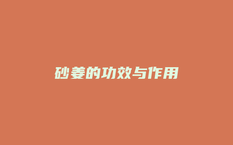 砂姜的功效与作用