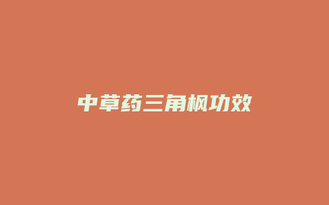 中草药三角枫功效