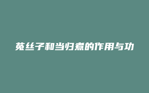 菟丝子和当归煮的作用与功效与作用