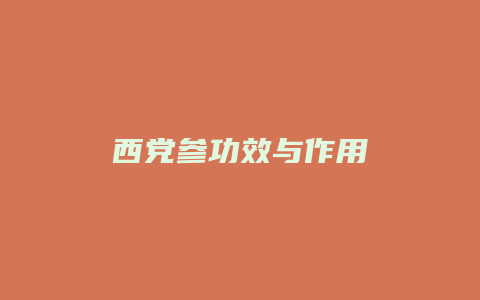 西党参功效与作用