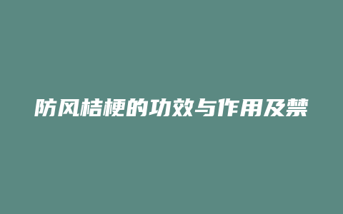 防风桔梗的功效与作用及禁忌