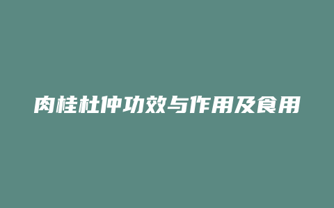 肉桂杜仲功效与作用及食用方法