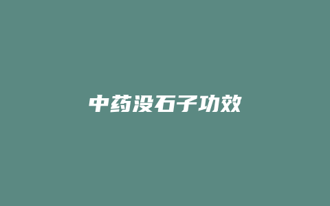 中药没石子功效