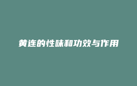 黄连的性味和功效与作用