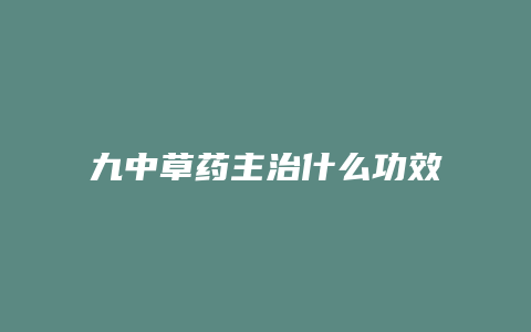 九中草药主治什么功效