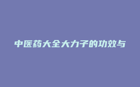 中医药大全大力子的功效与性能