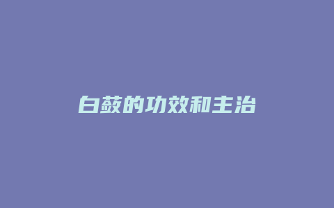 白蔹的功效和主治