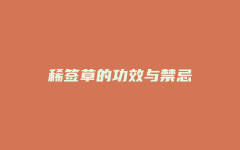 稀签草的功效与禁忌