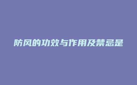 防风的功效与作用及禁忌是什么